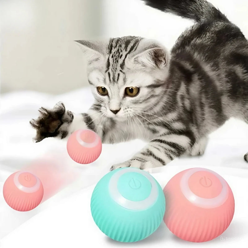 Bola mágica rolante automática para gato